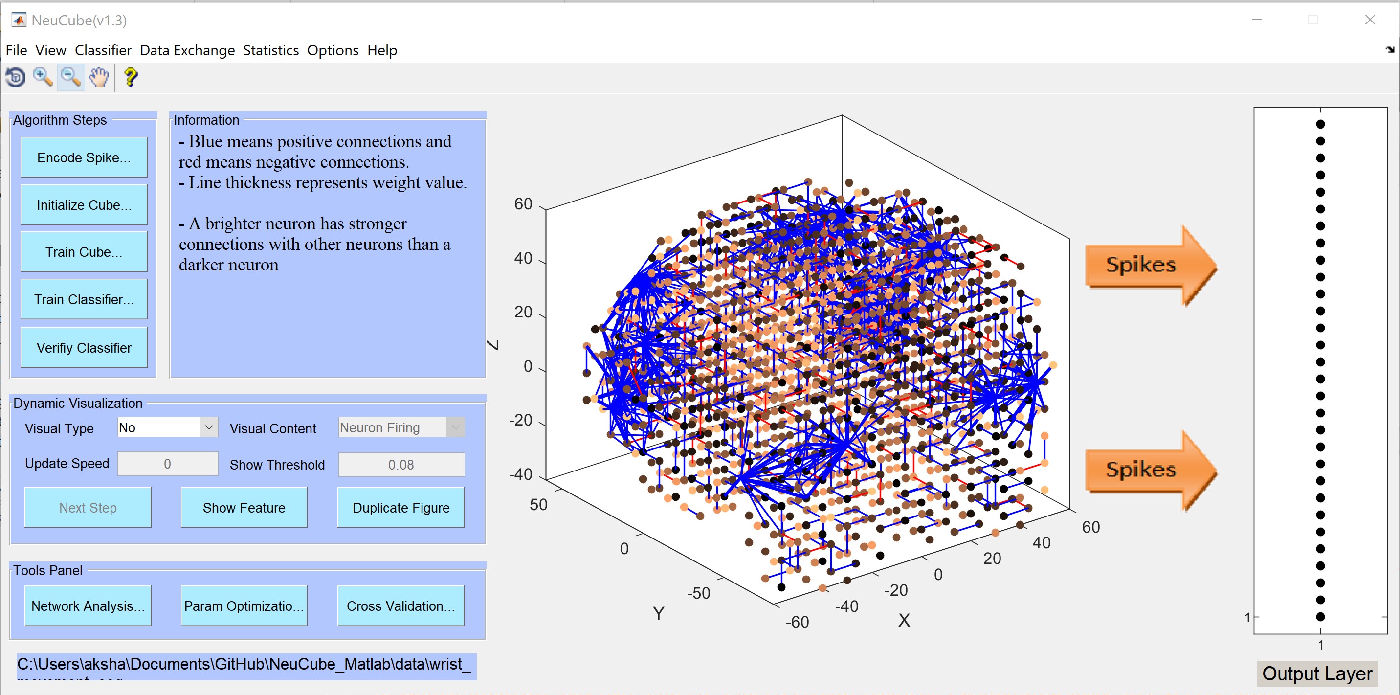 NeuCube IO