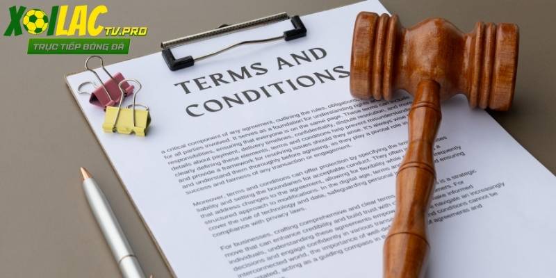 Mỗi thay đổi đều được công bố công khai trên nền tảng