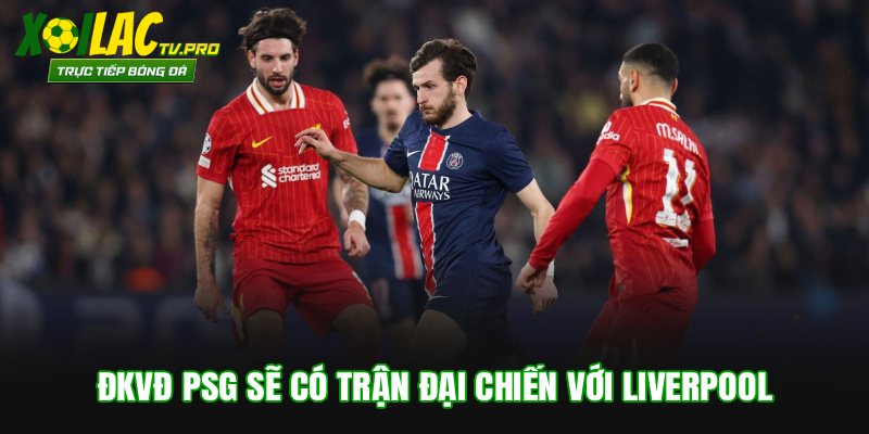 ĐKVĐ PSG sẽ có trận đại chiến với Liverpool